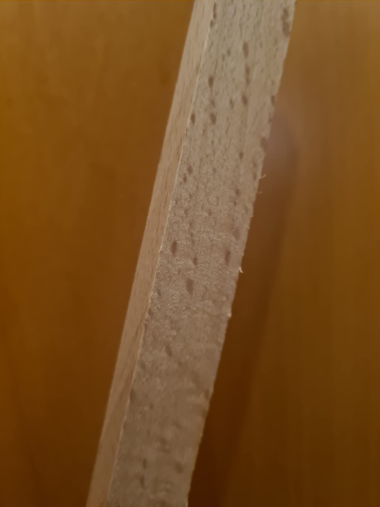 Kleine Helfer, große Wirkung