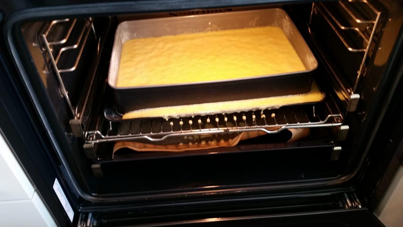 Mega für Mealprep