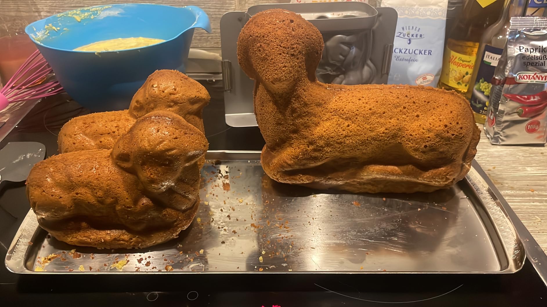 Süßes Lämmchen zu Ostern