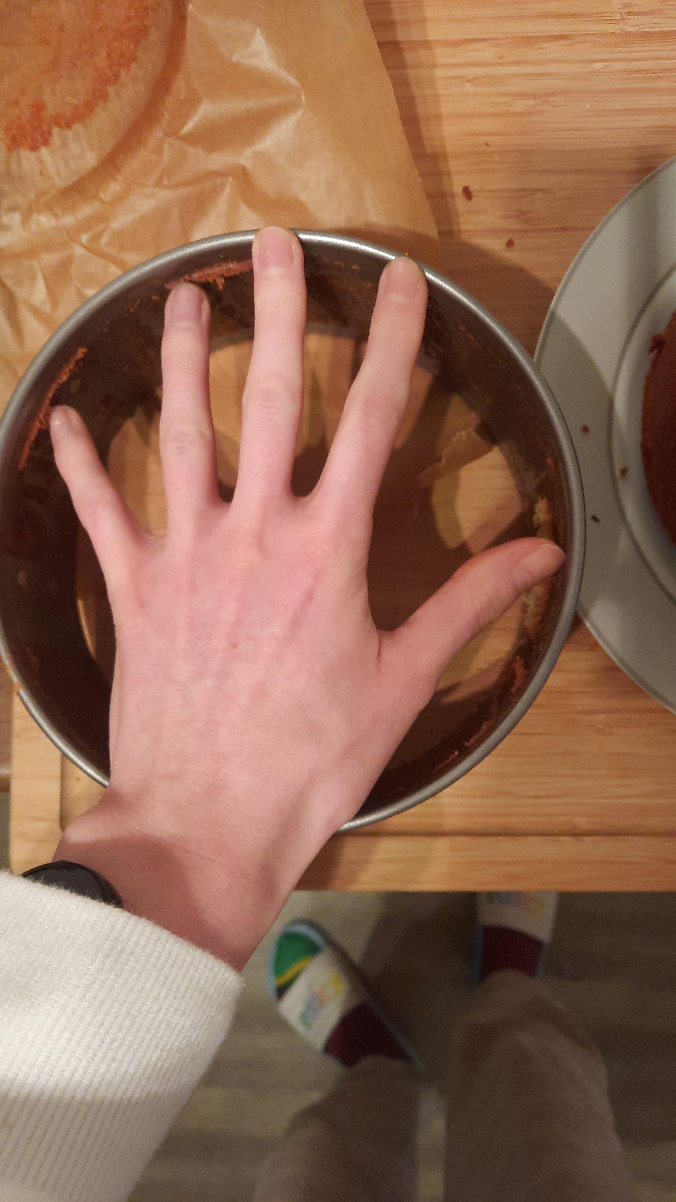 Lieblingsform für Käsekuchen